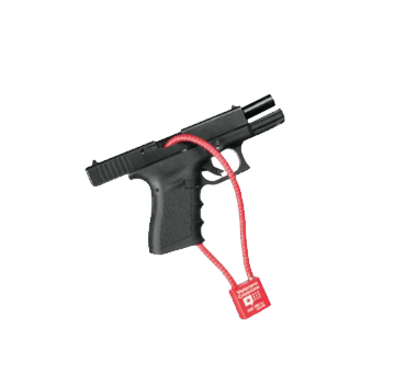 Gun Locks