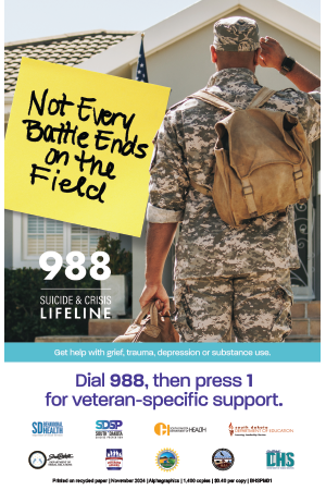 SDSP Military Poster