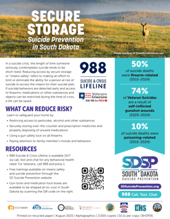 Secure Storage Infographic Pic Secure Storage Infographic Pic